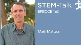 Episode 163: Mark Mattson discusses glutamate, the brain’s most important neurotransmitter