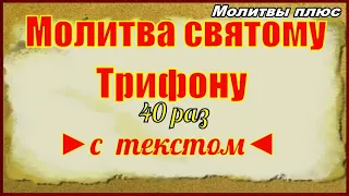 Молитва Святому мученику Трифону 40 раз