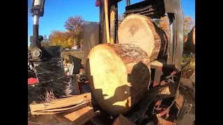 Timberwolf Firewood Processor Is A Beast