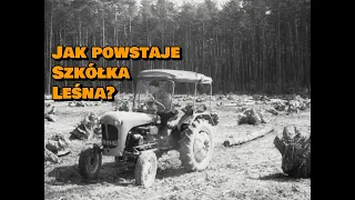 "Szkółkarstwo leśne" (1963) /CAŁY FILM/