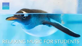 Relaxing Music For Elementary Students - Penguins 🐧 - Calm classroom music for children, study music