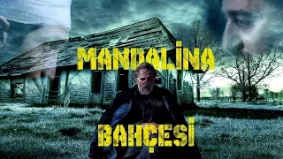 TANGERINES TRAILER COVER (MANDALİNA BAHÇESİ)