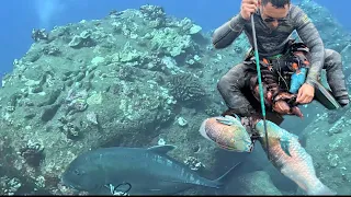 Dreams Do Come True | Spearfishing Hawaii