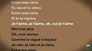 Serge Gainsbourg (feat. Jane Birkin) - Je t'aime..Moi non plus (Lyrics)
