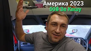 Кастрюля плова за 50$