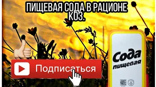 Пищевая СОДА в рационе коз.