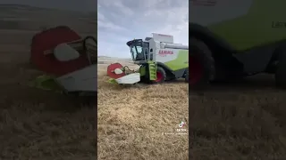 Claas Lexion 630 wheat harvest 2022