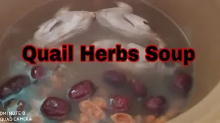 Quail Herbs Soup Recipe/How to cook Chinese herbs soup with Quail