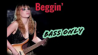 MANESKIN - BEGGIN' | ONLY BASS #maneskin #bassonly #bass