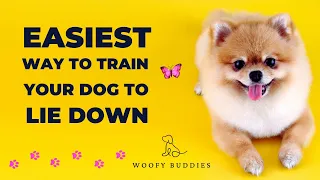 Easiest Way to Train Your Dog To Lie Down