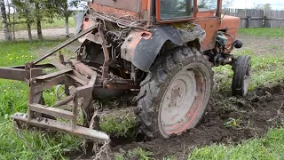 Сажаем картошку под плуг