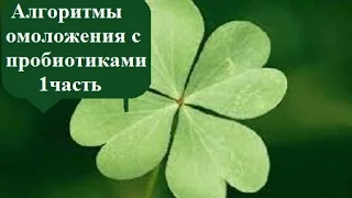 Алгоритмы омоложения с пробиотиками РОЗ    22 12 2015   Будниченко И Н