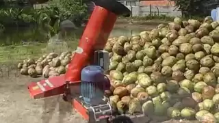 TRITURADOR DE COCO VERDE