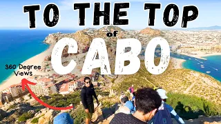 Hiking to the TOP of Cabo San Lucas with Local Dogs (How You Can Too!)