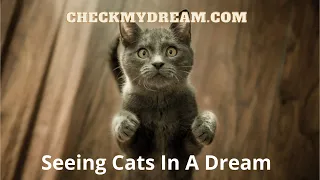 What does dreaming about cat promise
