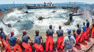 Lucky Fisherman Caught Something Incredible !