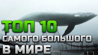 ТОП 10 ВСЕГО САМОГО БОЛЬШОГО В МИРЕ