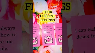 ✨️❣️Current feelings of your person❣️✨️ #shorts #tarot #currentfeelings #marriage #theirfeelings