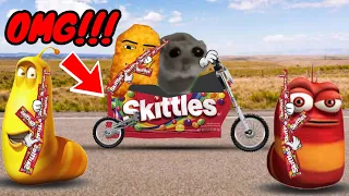 Skittles meme Sad Hamster and Red larva| Bandito