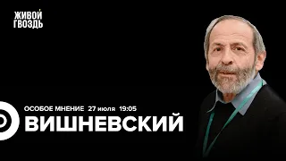 Саммит «Россия-Африка», переворот в Нигере, арест Кагарлицкого*. Вишневский: Особое мнение  27.07.23