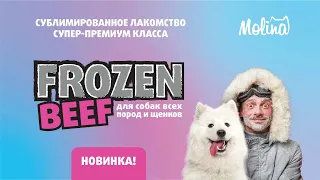 Лакомства Molina Frozen BEEF