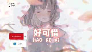 好可惜 ❴ Hao Ke Xi ❵ Lyric dan terjemahan #femusic#haokexi#youtube#youtuber#lyrics#youtubevideo#song