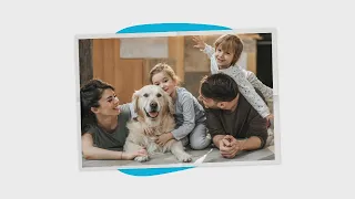Hund als Haustier - logo! erklärt - ZDFtivi