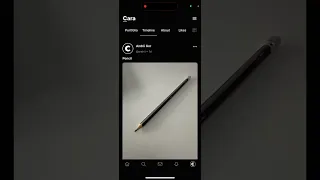 CARA ARTIST APP - how to use? Full overview