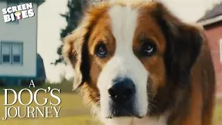 Official Trailer | A Dog's Journey | Screen Bites