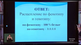 9-класс. 10.04.2020 г.