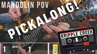 Cripple Creek: PickAlong Virtual Jam Mandolin POV!