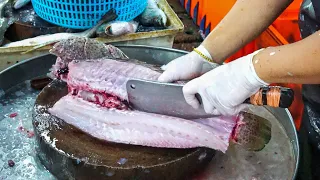 LADY SHOW HOW TO FILLET A GROUPER FISH - FISH CUTTING SKILLS - FILLETING A GROUPER FISH