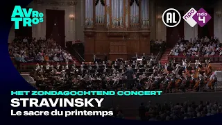 Stravinsky: Le sacre du printemps - Radio Filharmonisch Orkest olv Vasily Petrenko - Live concert HD