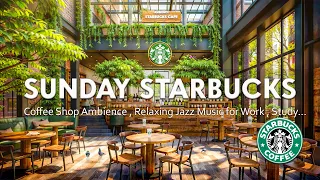 Starbucks Music Heals the Mood - Starbucks Jazz 3 Hours of Relaxing - Positive Starbucks Jazz Music☕