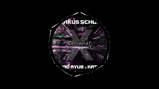 Markus Schulz - Say What You Want feat. Saad Ayub & Katrii (Original Mix)