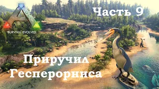 ARK Survival Evolved В одиночку #9 - Приручил Гесперорниса