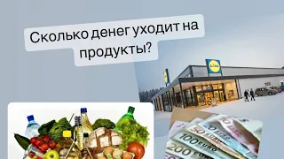 Сколько денег уходит на продукты? Обзор магазина Лидл в Финляндии.