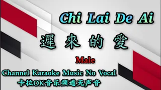 Chi Lai De Ai 遲來的愛 ~ male ~ karaoke mandarin no vocal