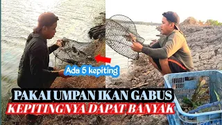 UMPAN IKAN GABUS DAPAT KEPITING BANYAK. @BINTANG SAMBOJA