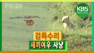 기상천외한 사냥술들! 환경스페셜 ‘야생동물 사냥꾼으로 살아가기’ / KBS 20050223 방송