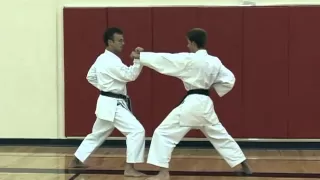 Basic Partner Work: Sanbon Kumite Part 1