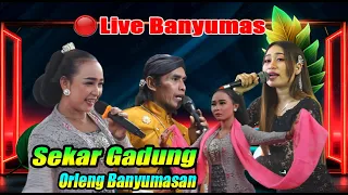 CALUNG ORLENG BANYUMASAN || RICIK RICIK SEKAR GADUNG || NEW ARISTA DVS OFFICIAL