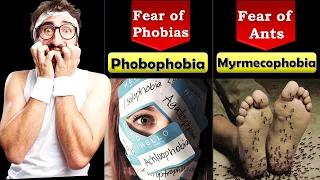 24 Weirdest Phobias People Suffer From | Rarest phobias | Weirdest Phobias People Suffer From