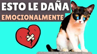 15 cosas que DAÑAN EMOCIONALMENTE a tu gato 💔🐱