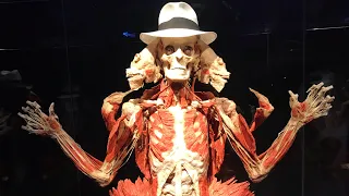 Шокирующая выставка «Body Worlds» в Москве