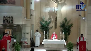 La Santa Misa de hoy | Domingo de Ramos “De la pasión del Señor” | 24-03-2024 | P. Javier Martín, FM
