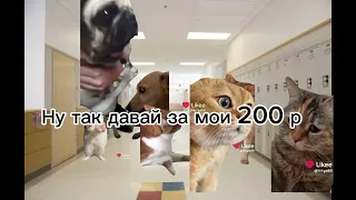 День Сахарка сегодня ЭТО НЕ Я!