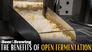 The Benefits of Open Fermentation