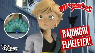 Eszméletlen elméletek – Szuperszülők  I Miraculous I Disney Csatorna