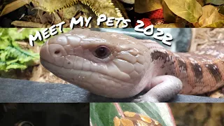 Meet My Pets 2022